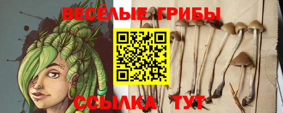 Псилоцибиновые грибы MAGIC MUSHROOMS  Вход с VPN  Кушва 
